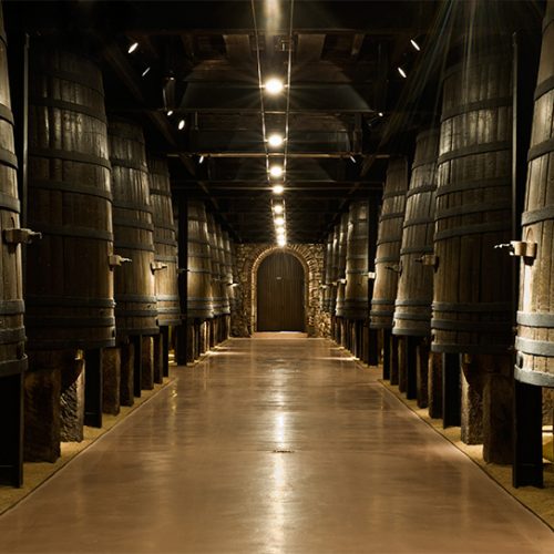 interior bodega