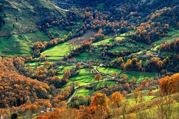 Naturaleza en el valle