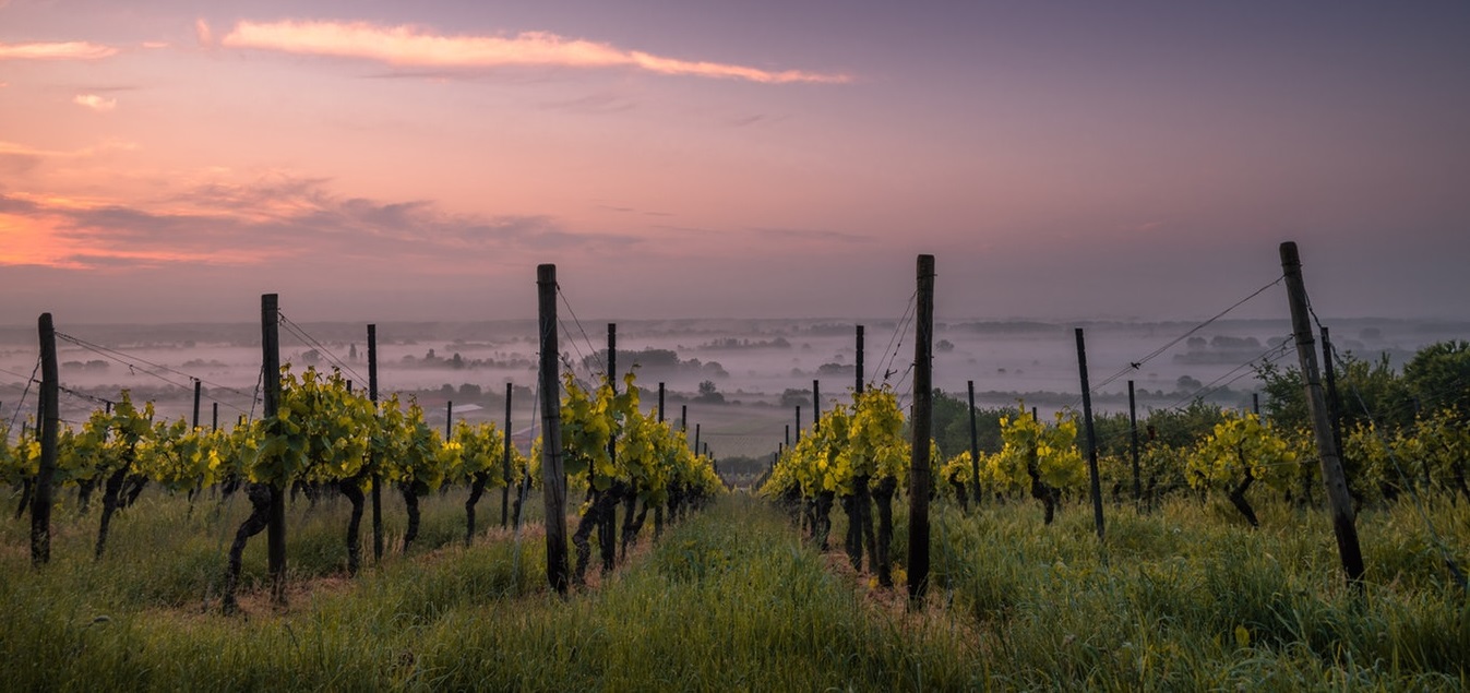 Las mejores bodegas para visitar en La Rioja