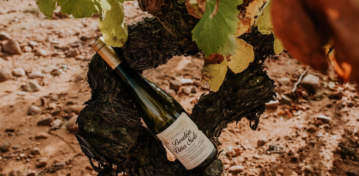 Bordón hace un homenaje a su historia con 2 nuevos vinos de edición limitada