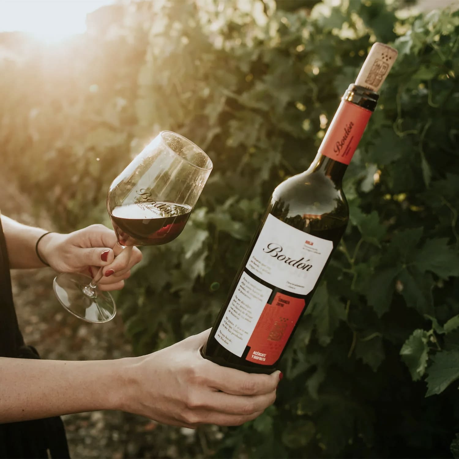 Wine Bordón Crianza | Bodegas Franco - Españolas
