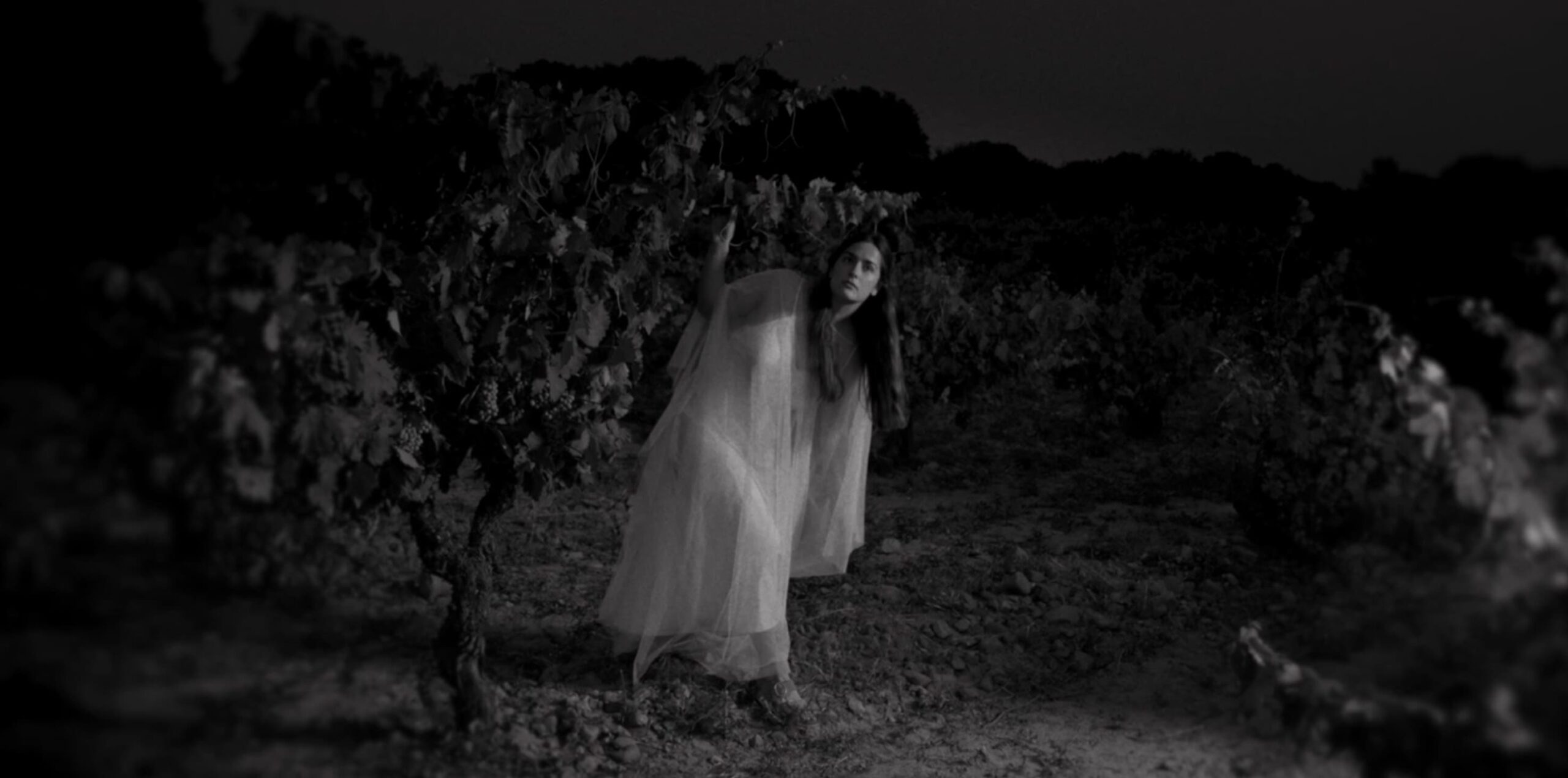 video-diamante-de-graciela
