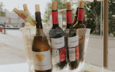 Cómo enfriar rápidamente una botella de vino: métodos eficaces y seguros