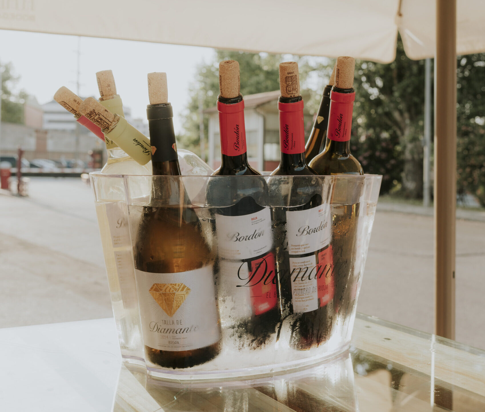 hielera-con-vino-diamante-y-bordon-para-enfriar Cubitera de plástico transparente llena de agua y cubitos de hielo, conteniendo varias botellas de vino de Bodegas Franco-Españolas, incluyendo Diamante (etiqueta blanca) y Bordón (etiqueta roja), preparadas para un evento al aire libre bajo una sombrilla en Logroño, La Rioja