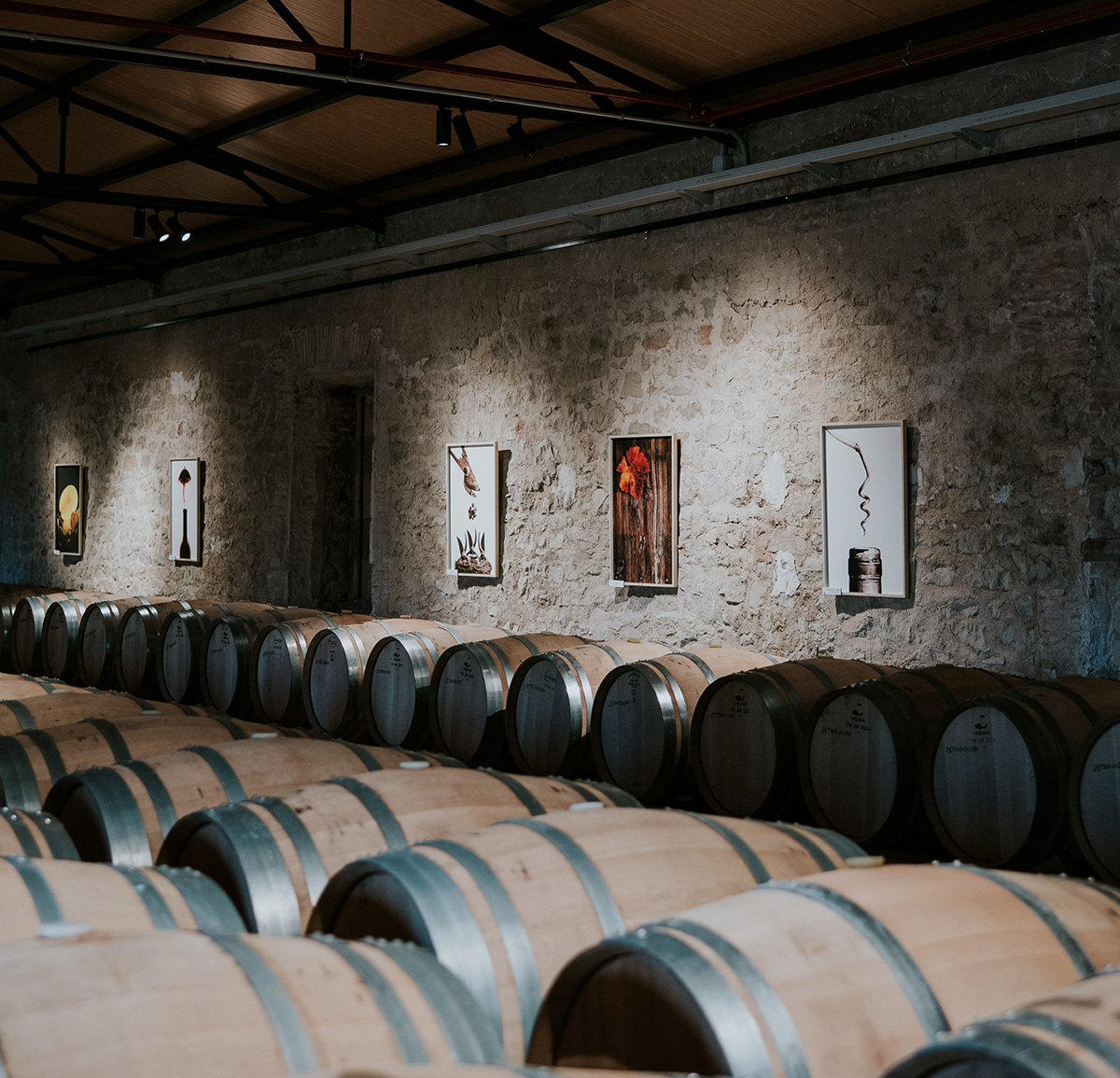 Retrato de Juan Miguel Ortuño, fotógrafo autor de la exposición Los sueños del vino en ESPACIO 18.90 de Bodegas Franco-Españolas en Logroño.
