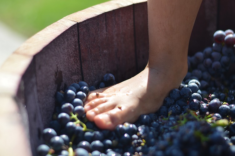 Vendimia en Familia en Logroño con Bodegas Franco-Españolas