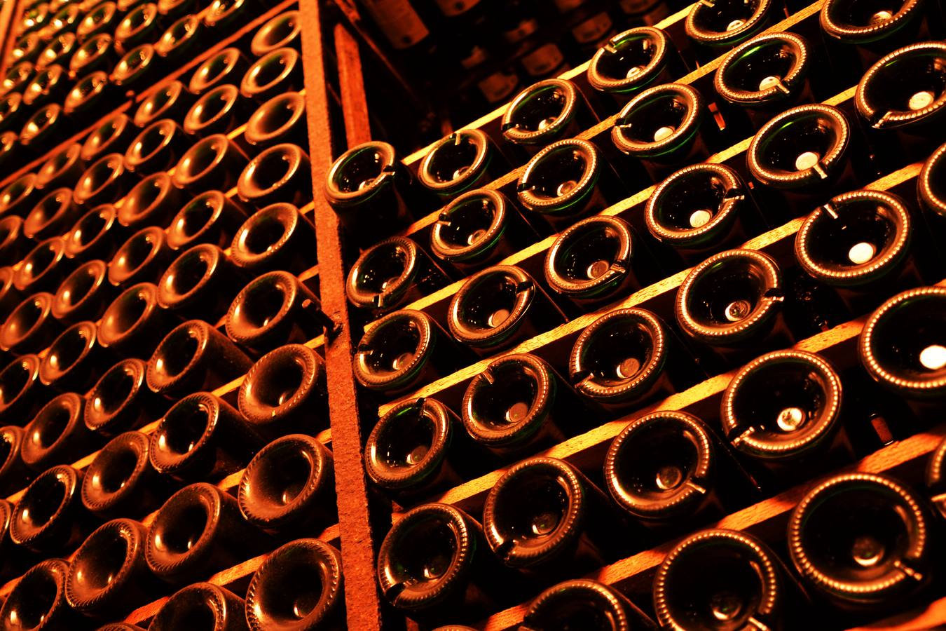 ¿Cuántos tipos de botellas de vino te puedes encontrar?