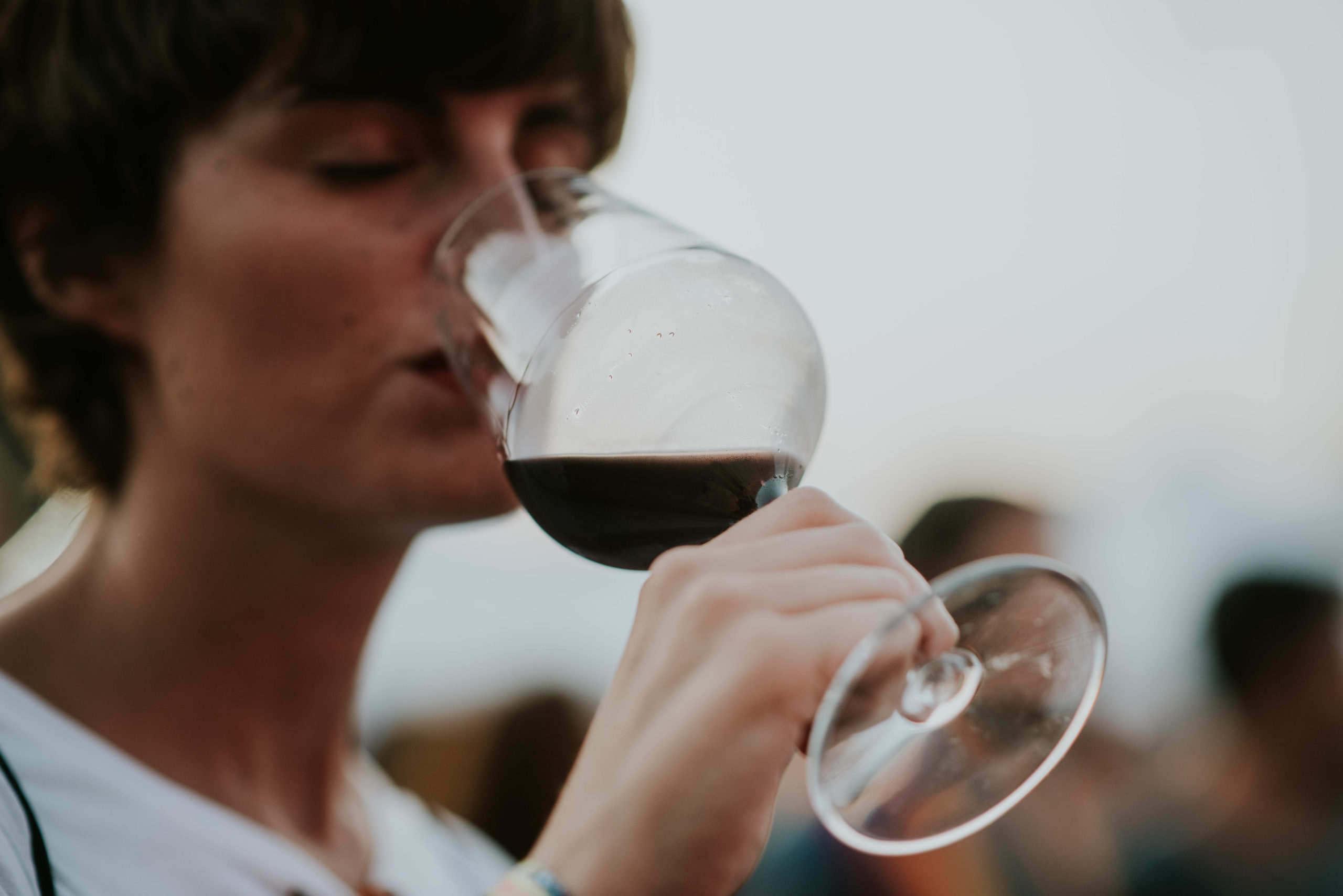 ¿Cuáles son los aromas primarios, secundarios y terciarios del vino?