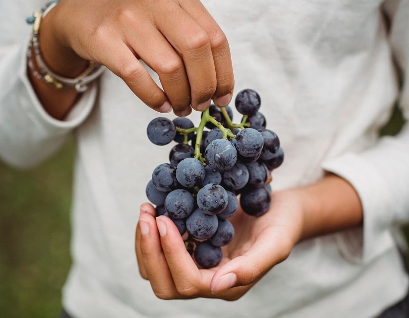 propiedades de las uvas