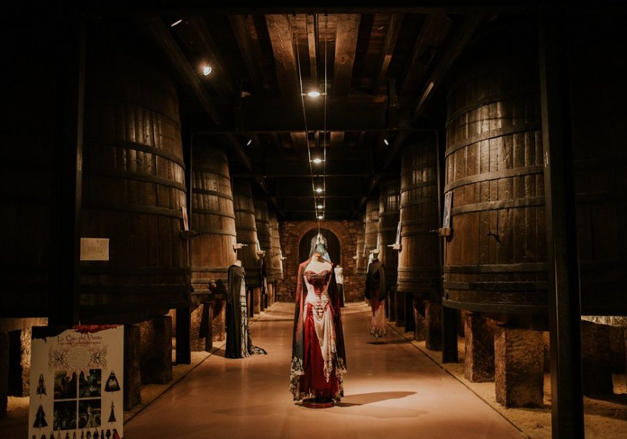 Día de la Moda Violeta Arellano Día de la Moda Violeta Arellano